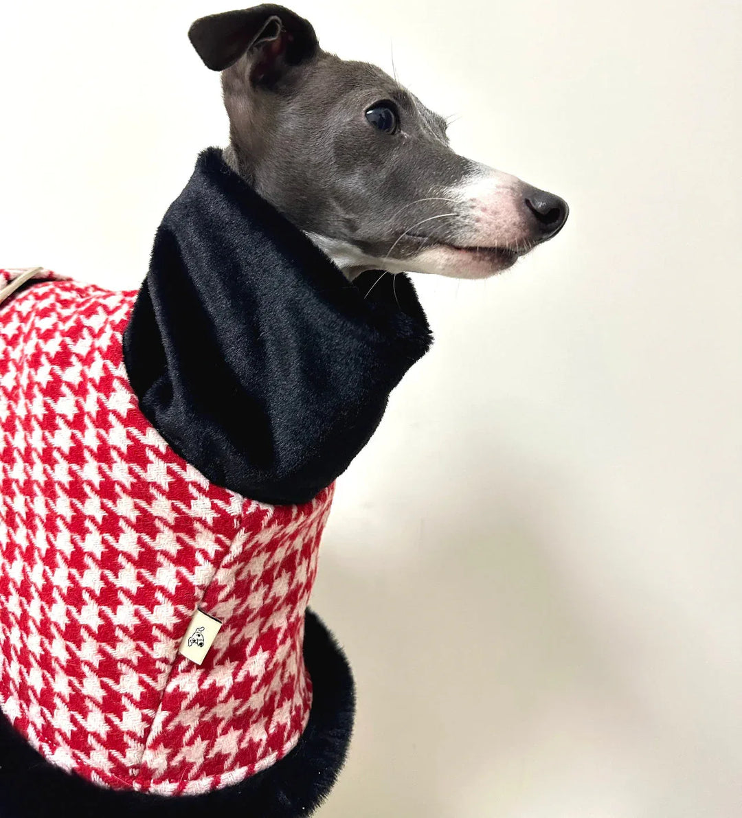 Houndstooth Dog Coat for Italian Greyhounds &amp; Whippets CityBear