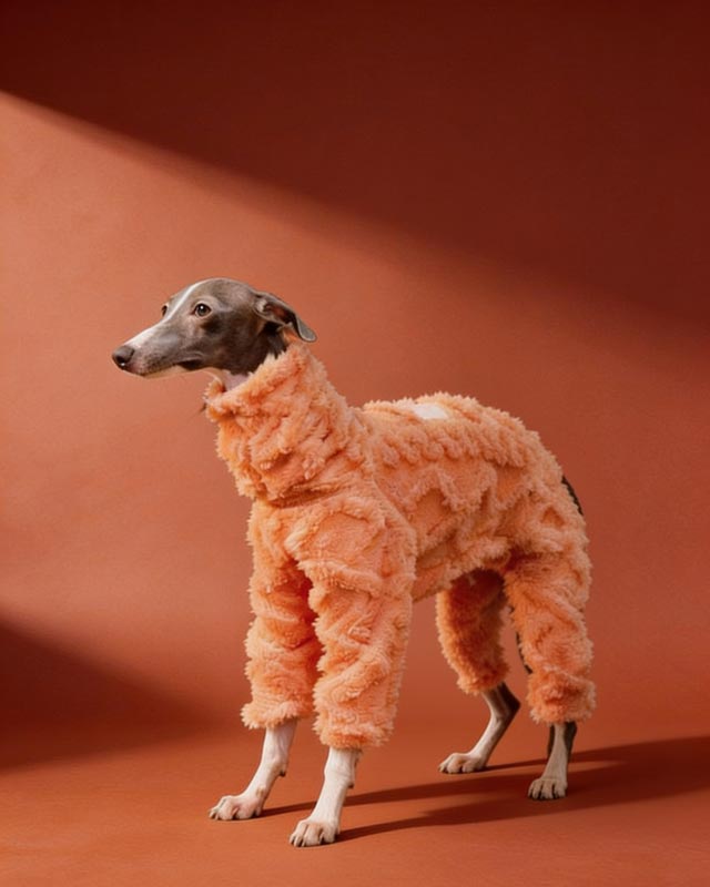 Full-Body Embossed Fleece Onesie Italian Greyhound and Whippet CityBear