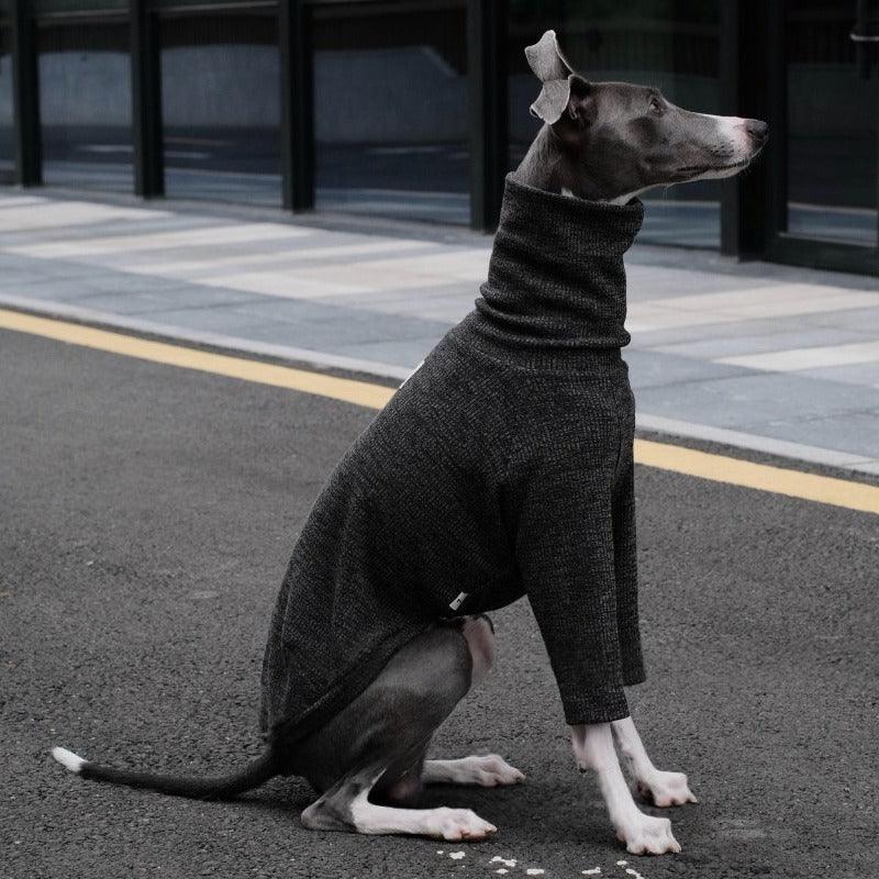 Highneck Slim Fit Base Sweater for Italian Greyhound and Whippet