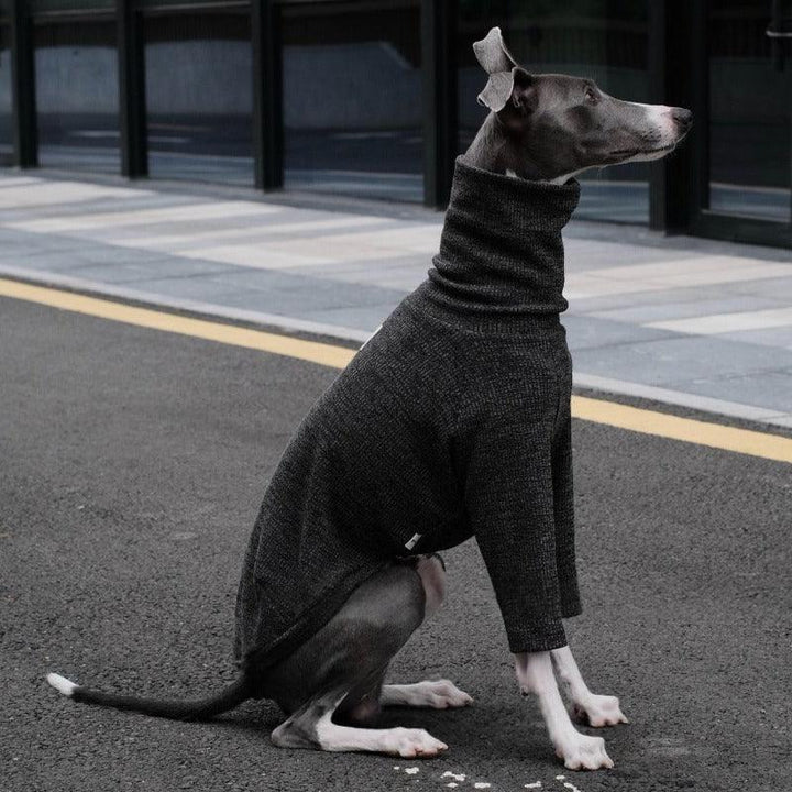 Highneck Slim Fit Base Sweater for Italian Greyhound and Whippet