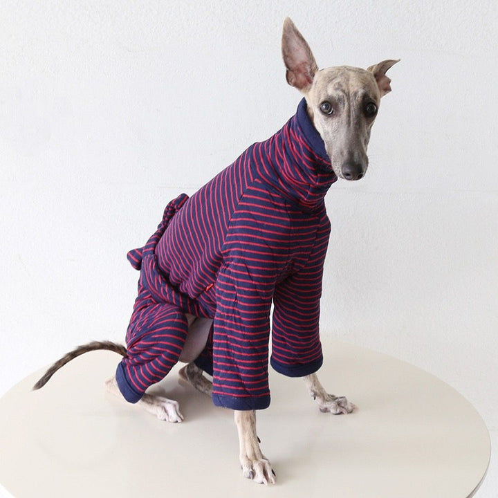 Mono elegante de rayas para perro de cuatro patas con lazo