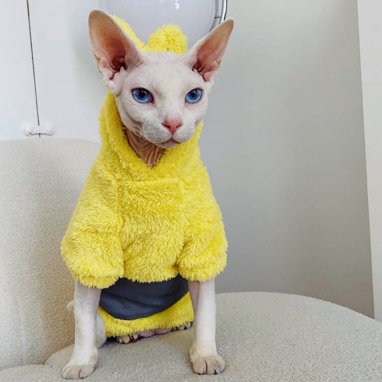 Teletubbies Hoodies Sphynx Cat Costumes