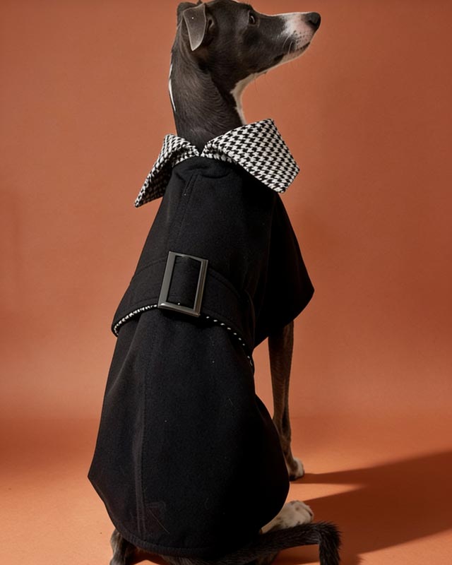Houndstooth Collar Italian Greyhound Coat Whippet Windbreaker CityBear