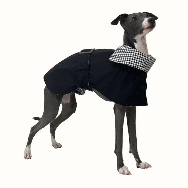 Houndstooth Collar Italian Greyhound Coat Whippet Windbreaker CityBear