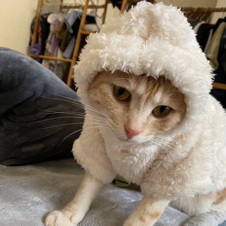 Shaun The Sheep Sphynx Cat Costumes S