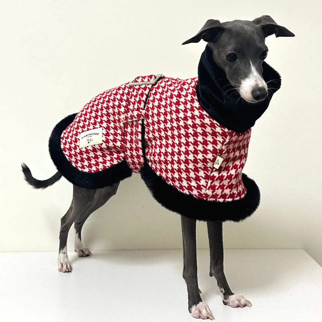 Houndstooth Dog Coat for Italian Greyhounds &amp; Whippets CityBear