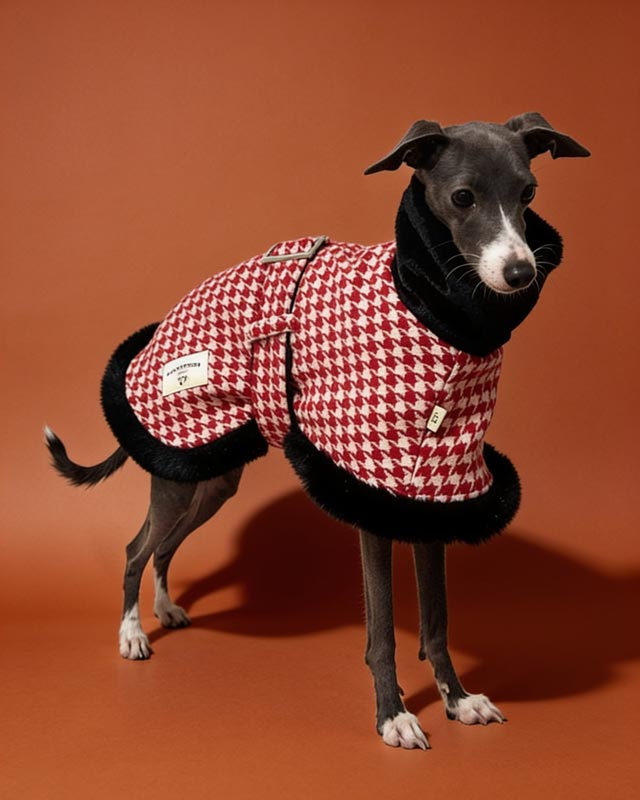 Houndstooth Dog Coat for Italian Greyhounds & Whippets CityBear