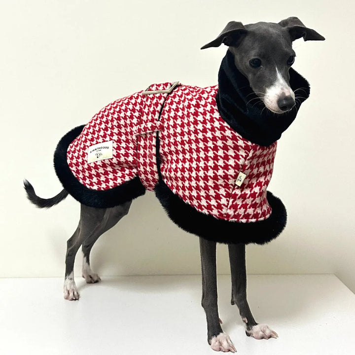 Houndstooth Dog Coat for Italian Greyhounds &amp; Whippets CityBear