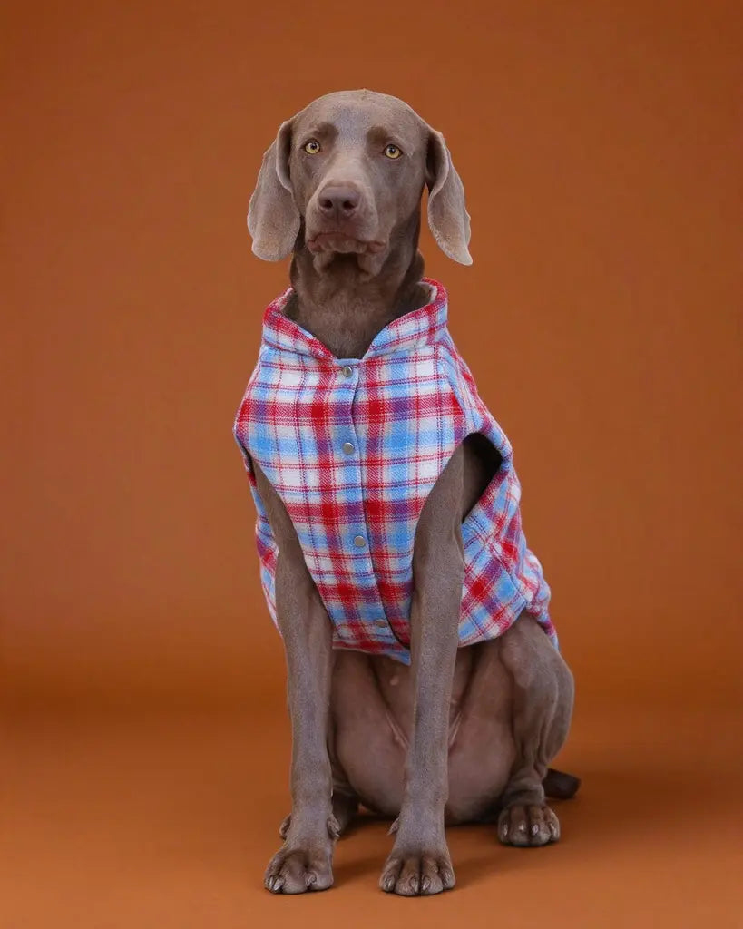 Plaid Scout Padded Windproof Dog Vest Jacket