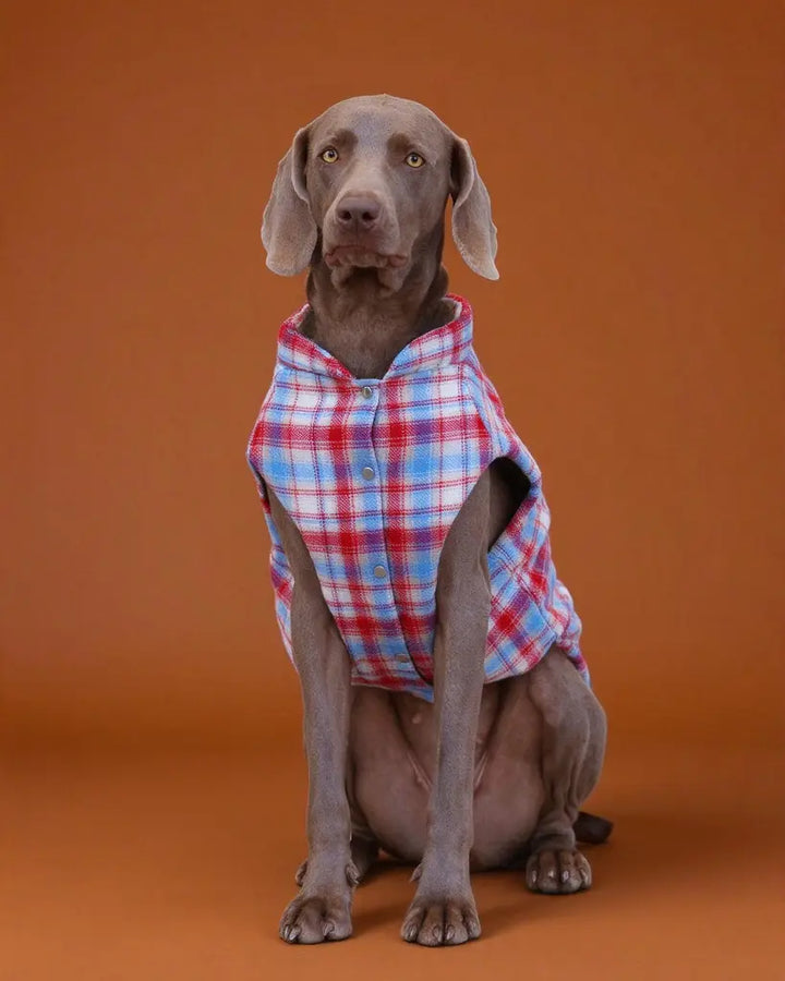 Plaid Scout Padded Windproof Dog Vest Jacket