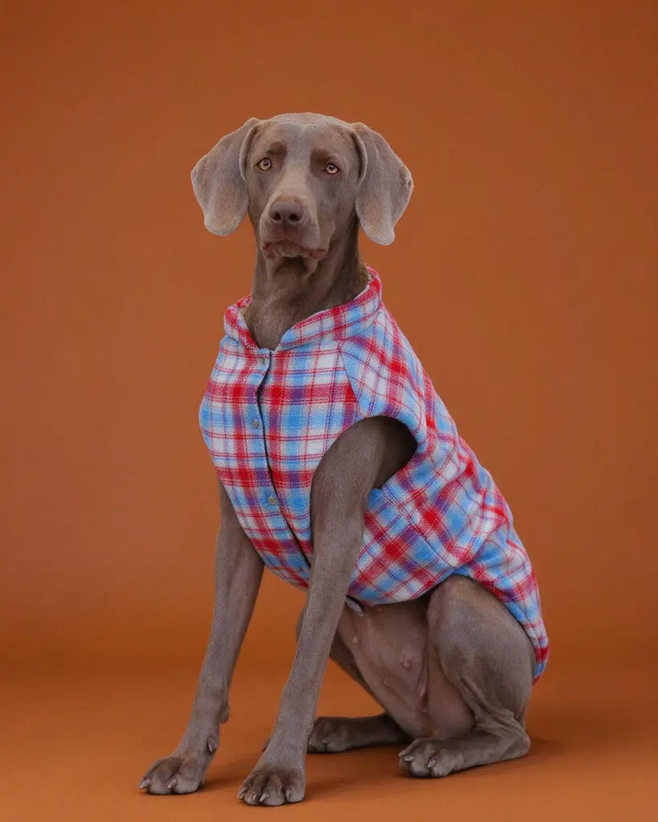 Plaid Scout Padded Windproof Dog Vest Jacket