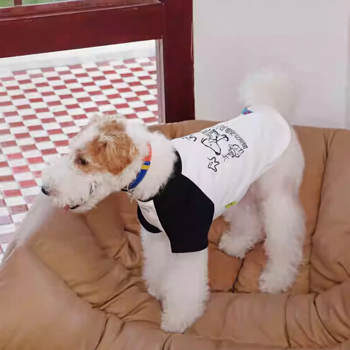 Puppy birthday celebration matching shirts for dog and owner breathable cotton spring summer set