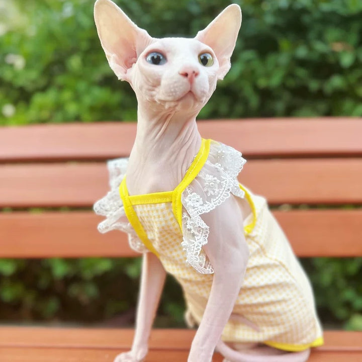 Lace Ruffle Sleeve Gingham Sphynx Cat Camisoles