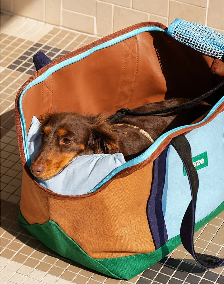 Zeze Color Block Pet Travel Tote Bag