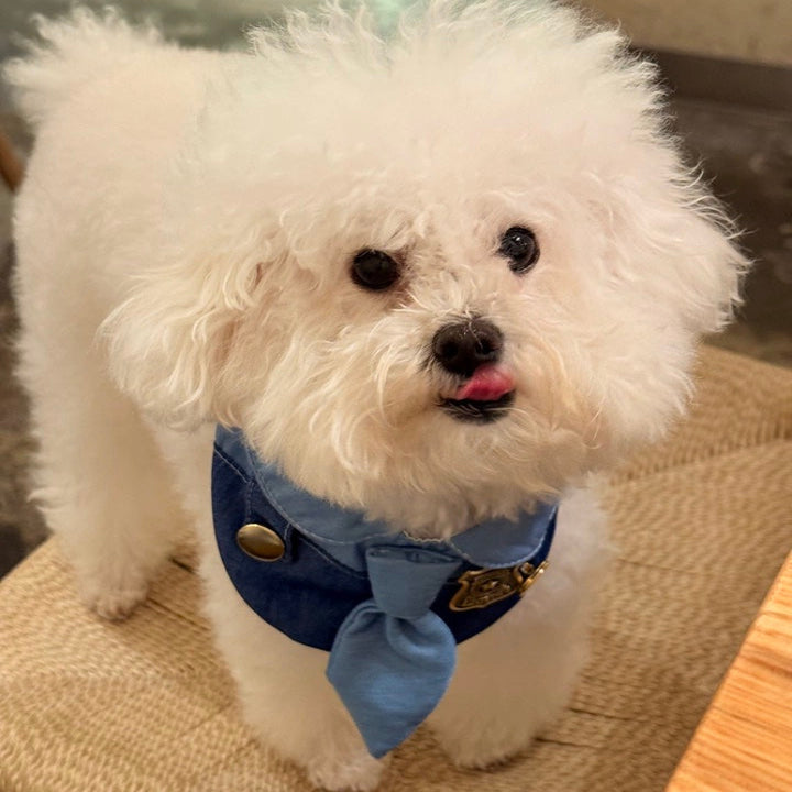 Zootopia Officer Judy Cute Pet Bib Costume