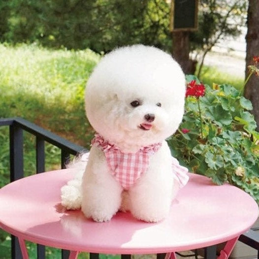 Spring Summer Dog Dress Dog Clothes Pet Dress Spring Dog Dress Puppy Clothes girl Small Dog Clothes