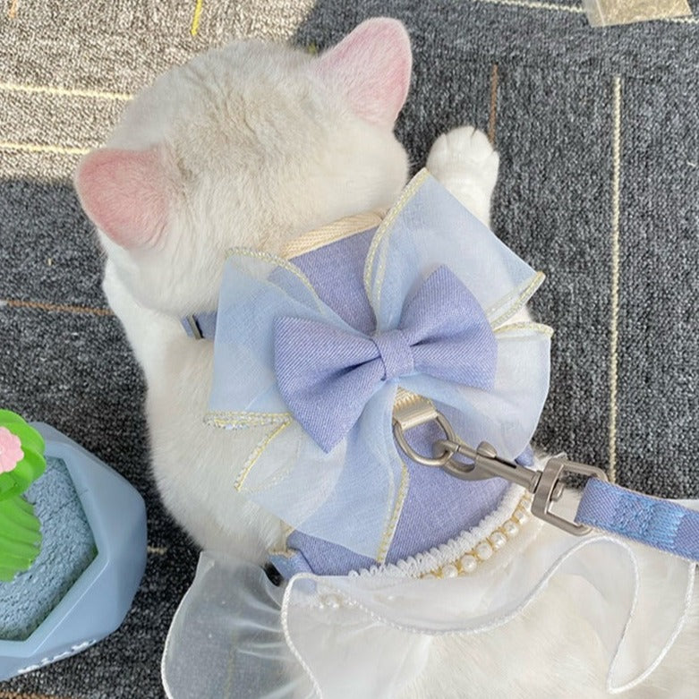 cat wearing blue harness with bow