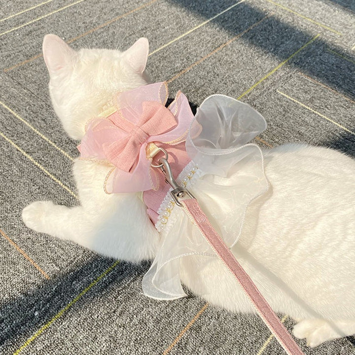 super beautiful cat harness