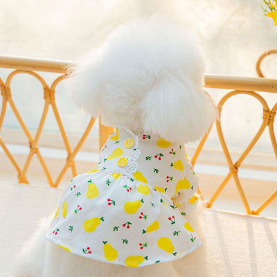 Dog Dress, Dog Clothes Girl, Cute Puppy Clothes, Cute Cat Clothes, Small Dog Clothes, Cute Dog Dress, Girl Dog Clothes Dog Lover Gifts