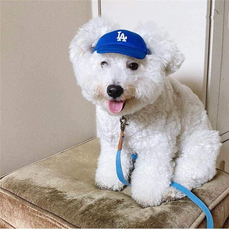 baseball cap for dog LA dodgers blue