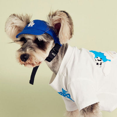 baseball cap for small dogs LA dodgers blue MLB