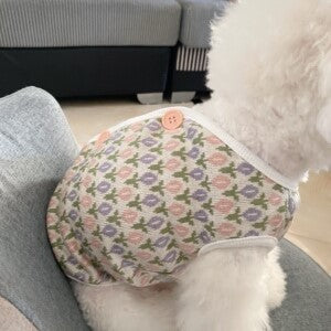 cat and small dog tulip classy pet clothes