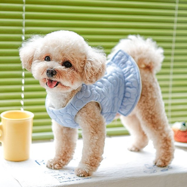 cute dog wearing blue warm and comfy fleece-lined dress