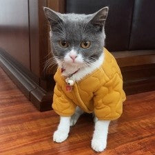 essential warm pet sweater cardigan for cat