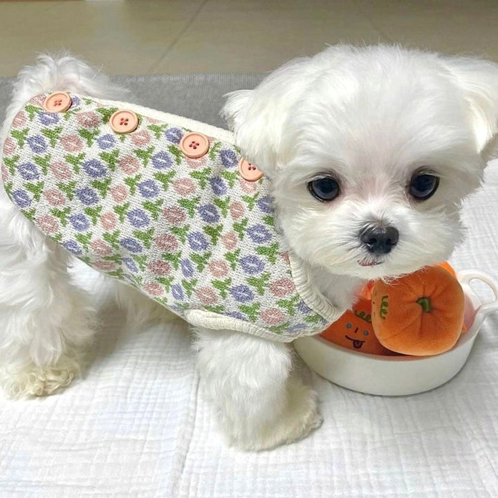 tulip classy pet clothes for small dog