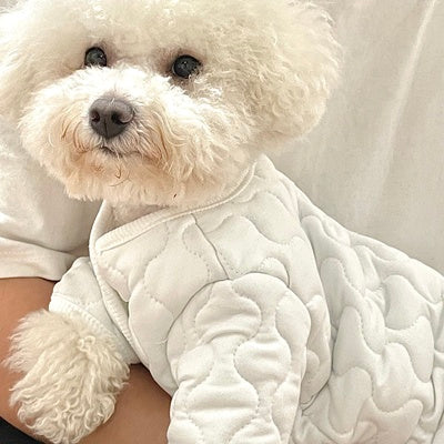 cute dog essential warm pet sweater cardigan embroidered