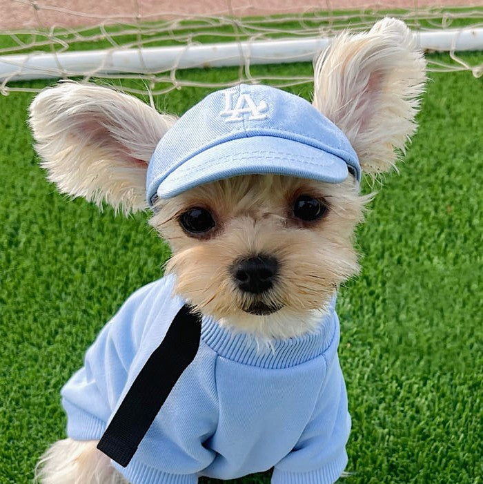 dog baseball cap dog hat LA dodgers light blue MLB