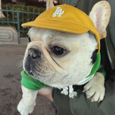 dog baseball cap dog hat LA dodgers yellow MLB