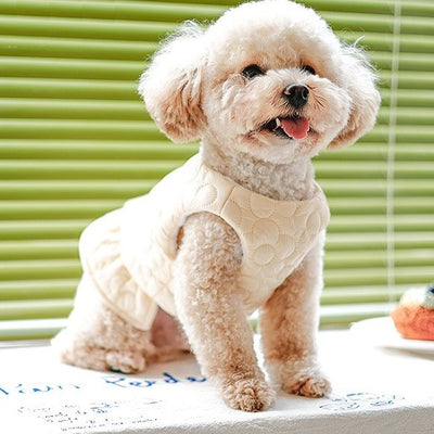 Cute dog wearing beige color fleece-lined flower stitch dress