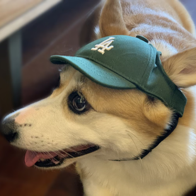 LA dodgers green baseball cap for dog