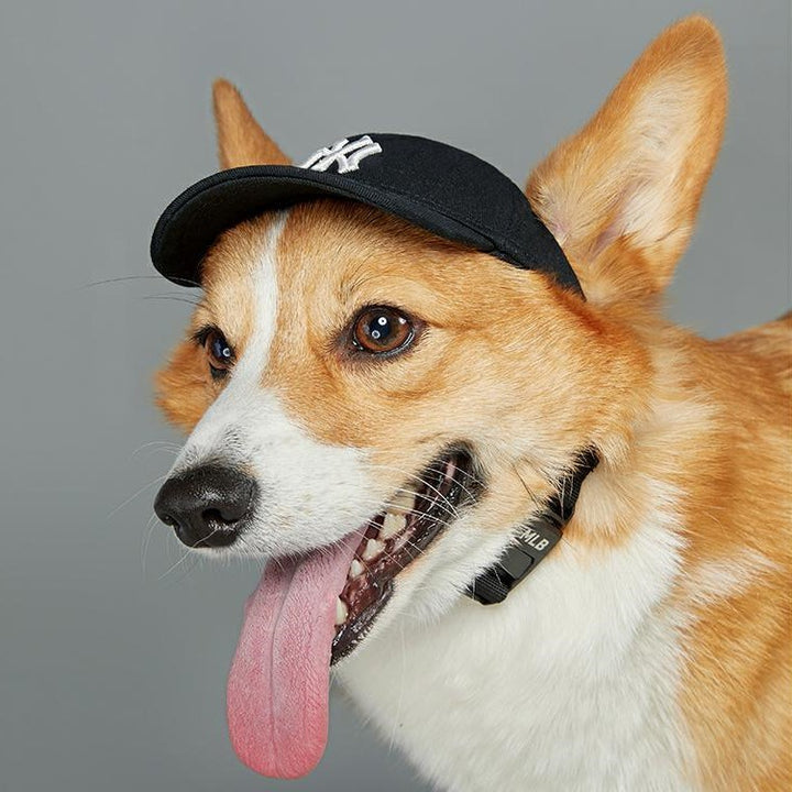 NY yankees black dog baseball cap MLB