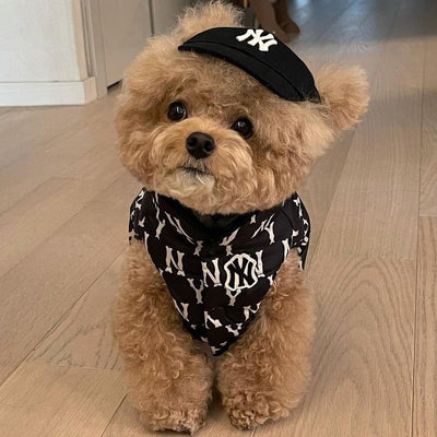 NY yankees black small dog baseball cap MLB