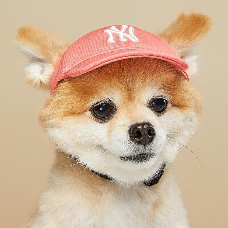 NY yankees coral baseball cap for dog