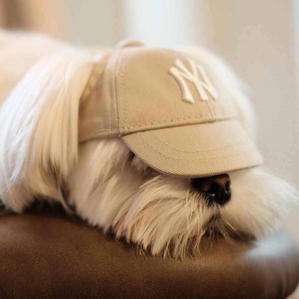 NY yankees khaki small dog baseball cap MLB