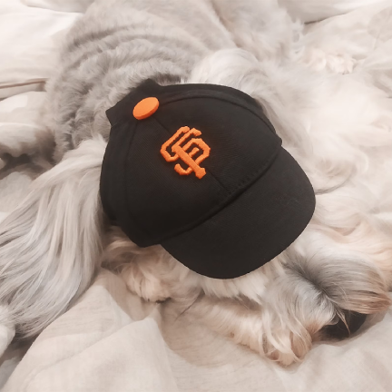 SF giants black baseball cap for dog