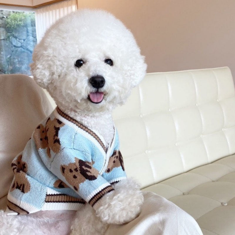 teddy bear dog clothing for small dog