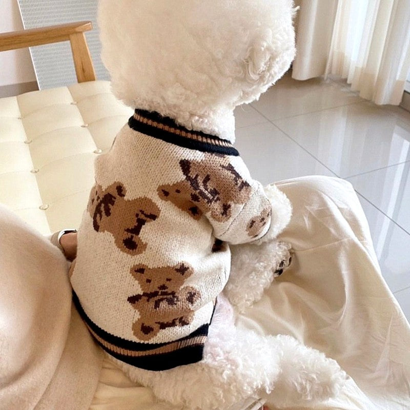teddy bear sweaters cardigans puppy clothes