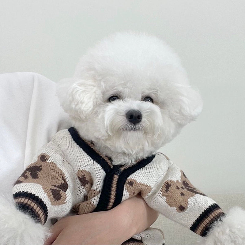 Teddy bear shop dog sweater