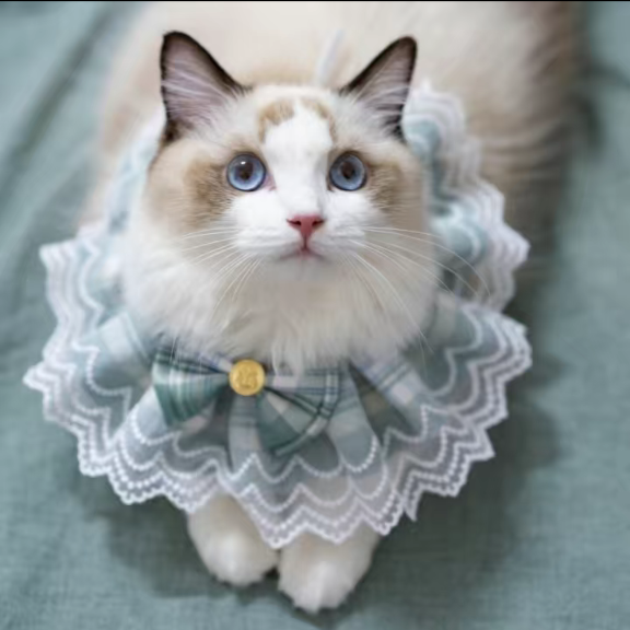 Princess Laced Ribbon Collar