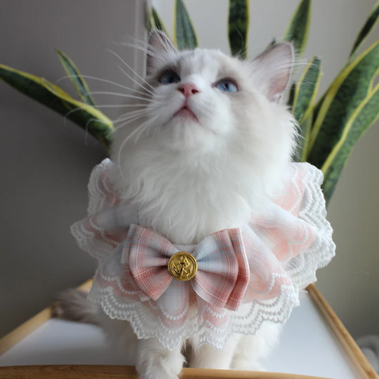 Princess Laced Ribbon Collar