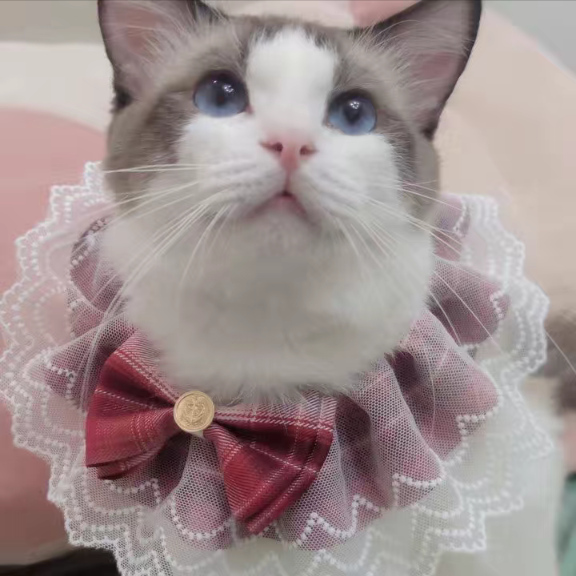 Princess Laced Ribbon Collar