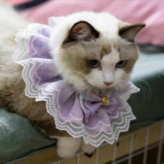 Princess Laced Ribbon Collar