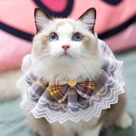 Princess Laced Ribbon Collar