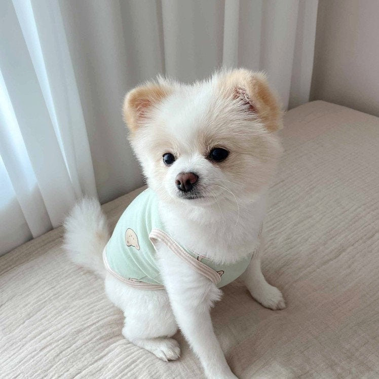 Beary Cute Tank Top Dog Clothes