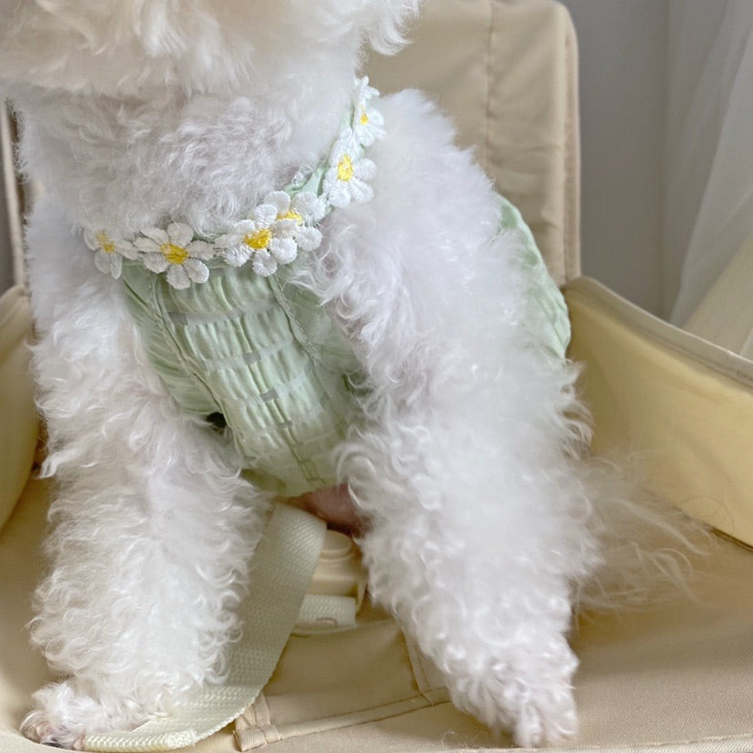 cute daisy dog dress