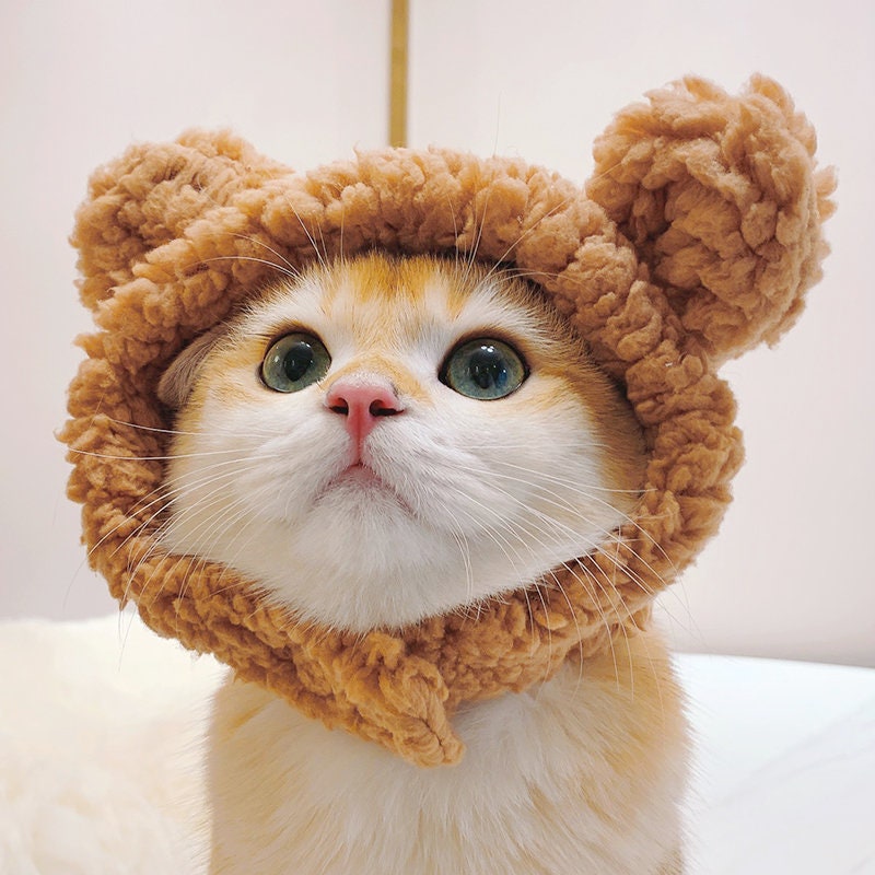 Cutest Teddy Bear Trapper Hat for Cat Pet Hats Cat Hats Teddy Bear Hats Fuzzy Bear Hats Funny Cat Hats Pet Lover Gifts